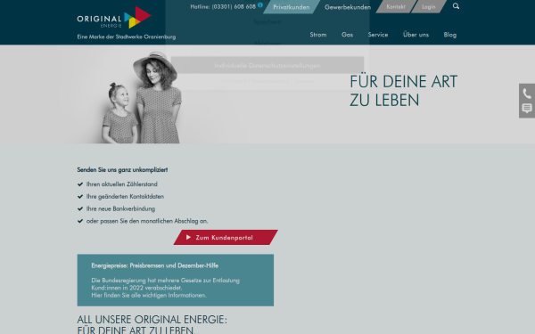 www.originalenergie.de