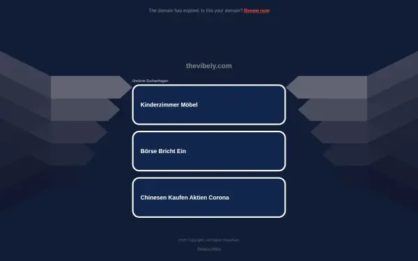 thevibely.com