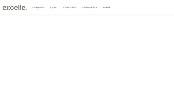 excelle.consulting