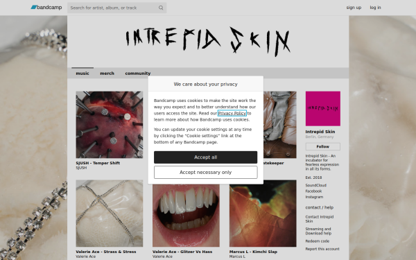 intrepidskin.bandcamp.com