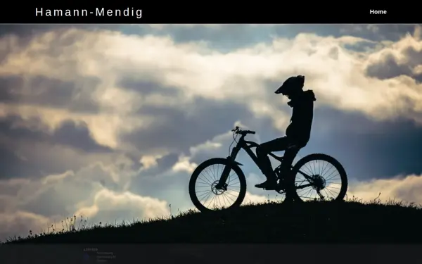 hamann-mendig.de