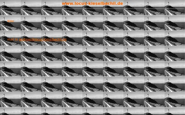 locus-kieselbachii.de