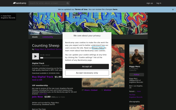 riggymarz.bandcamp.com