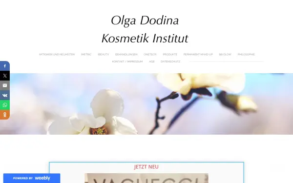 www.dodina-kosmetik-institut.de