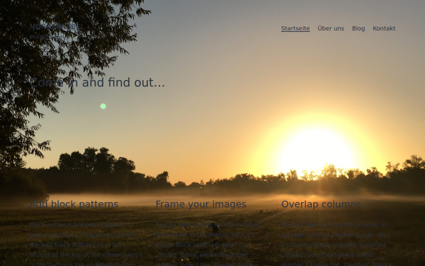 www.morgennebel.de