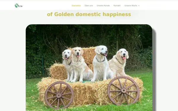 goldenretriever-familienhund.de