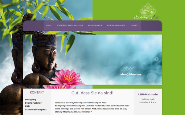 schmerzfrei-lnb.at