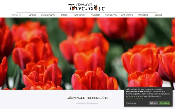 www.tulpenbluete.de