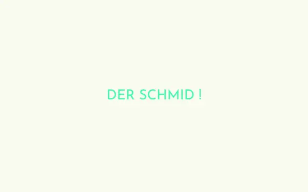 der-schmid.de