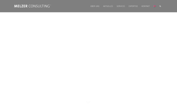 melzer.consulting