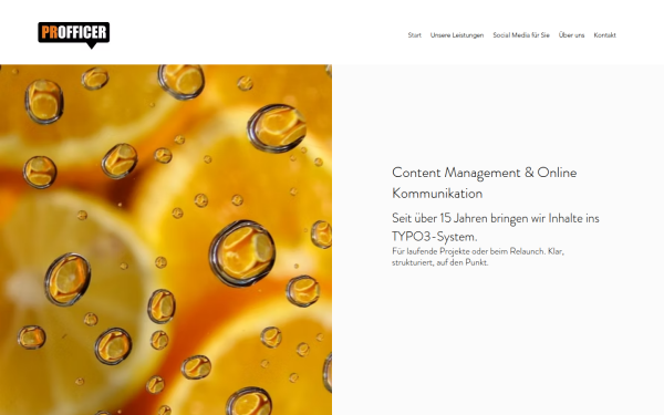 www.profficer.de
