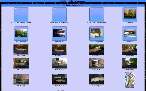 axolotlfotos.de