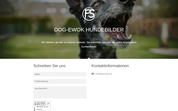 www.dog-ewok.de