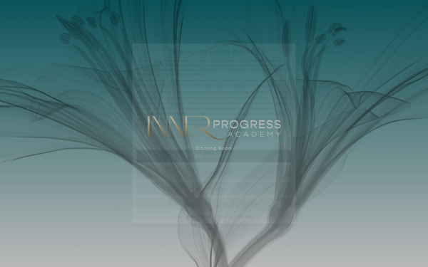 innerprogress.academy