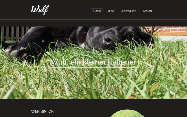 www.norbert-schubert.de