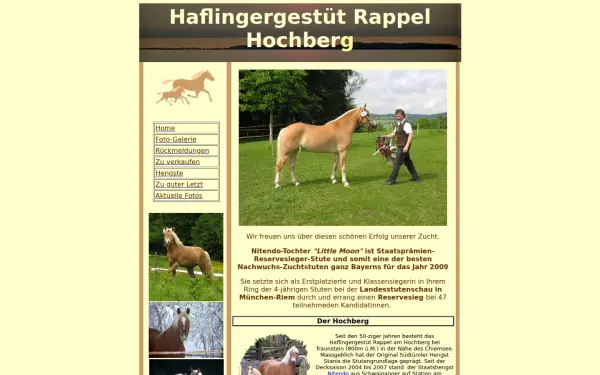 www.haflinger-hochberg.de