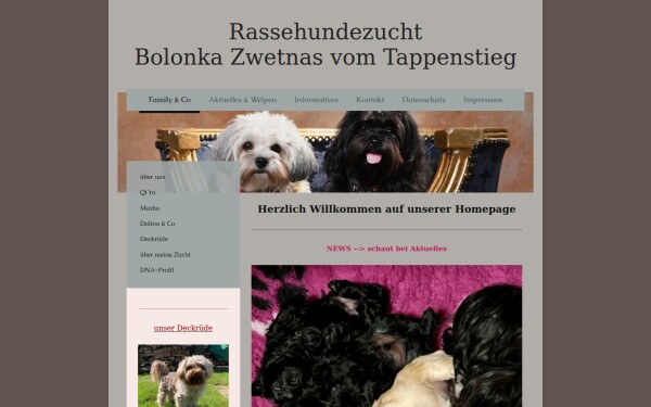 www.bolonka-zwetnas-vom-tappenstieg.de