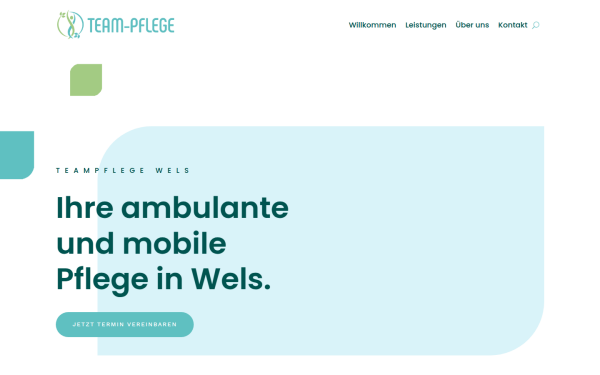 teampflegewels.at