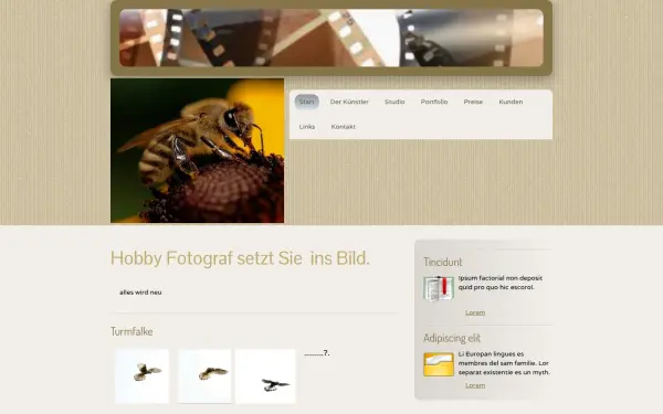 achim-strahl.de