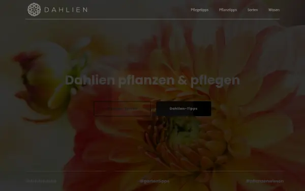 www.dahlien.de