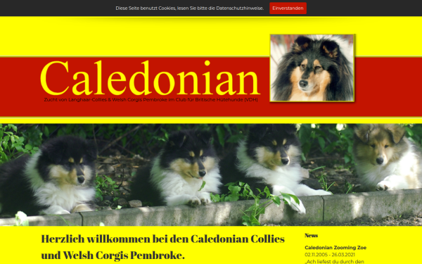caledoniancollies.de