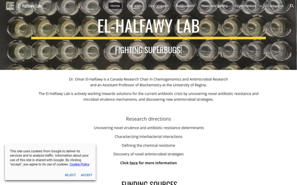 www.el-halfawylab.ca
