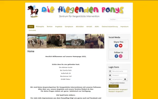 die-fliegenden-ponys.de