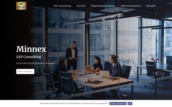 www.minnex.de