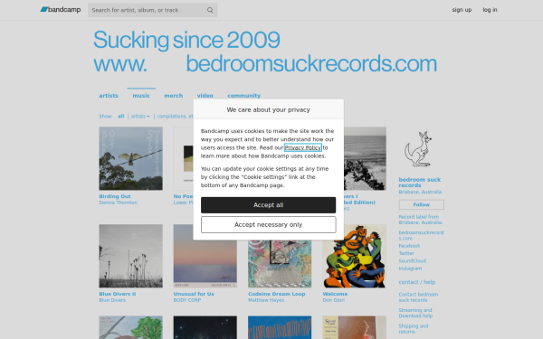 bedroomsuckrecords.bandcamp.com