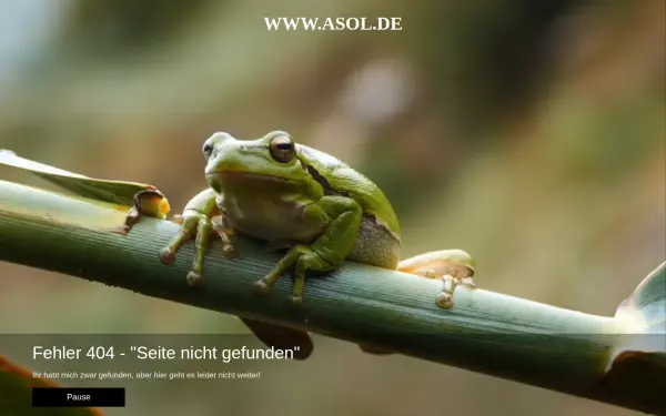 asol.de