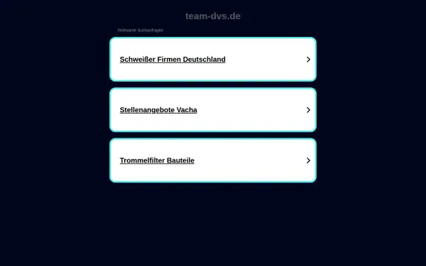 team-dvs.de