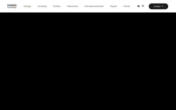 essinger.consulting