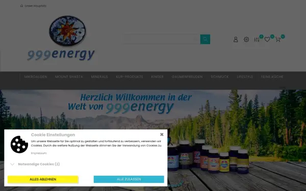 999energy.de