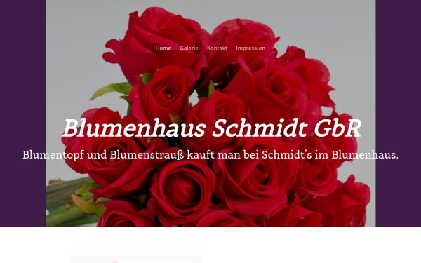 blumenhausschmidt.de