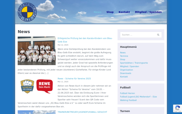 www.blau-gelb-elze.de