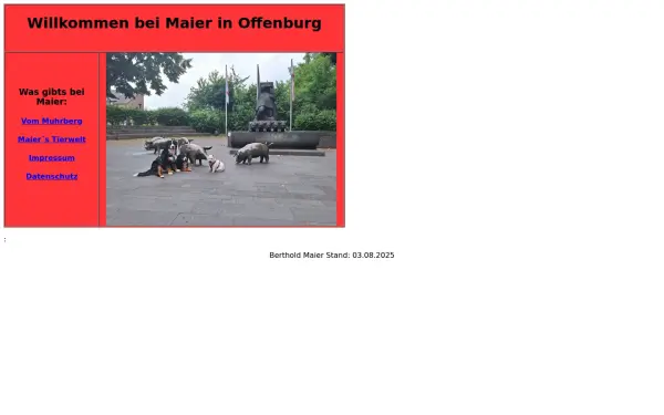 maier-offenburg.de