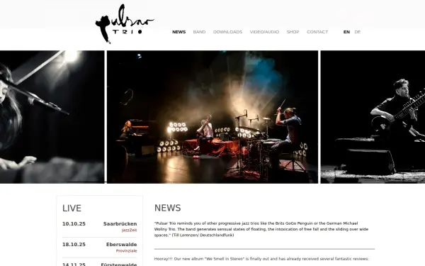 pulsartrio.de