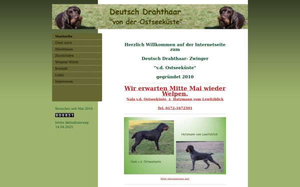 www.drahthaar-mv.de