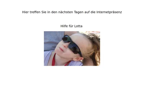 dfh-team.de