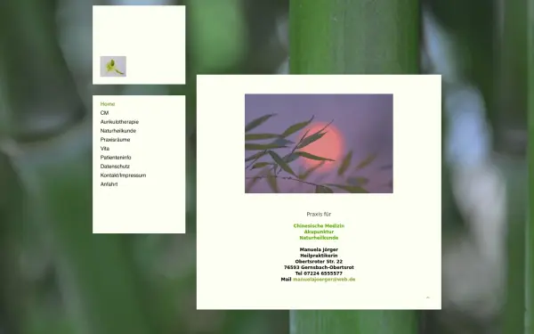 akupunktur-baden.de