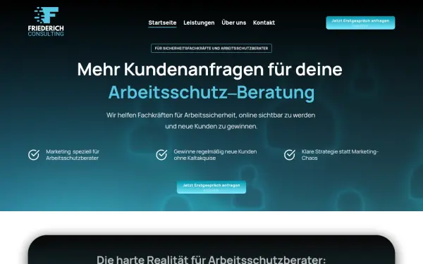 www.friederichconsulting.de