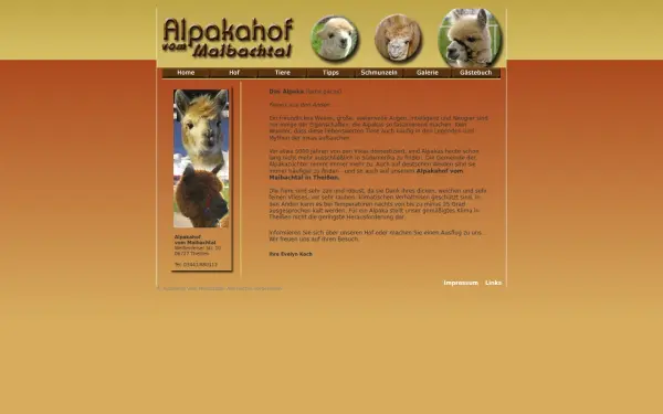 www.alpakahof-maibachtal.de