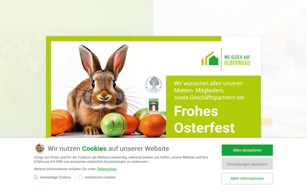 wg-olbernhau.de