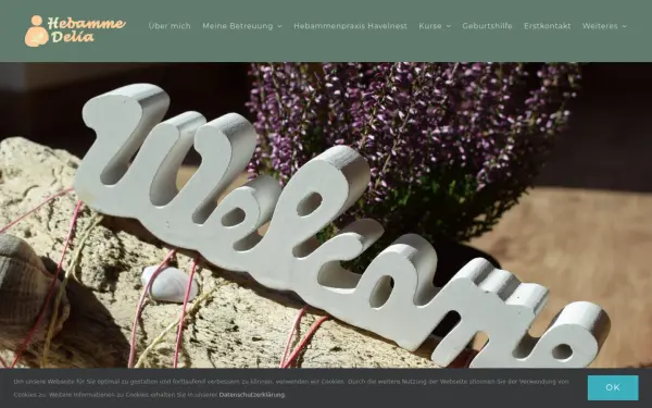 hebamme-delia.info