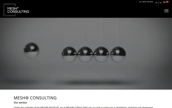 mesh-consulting.de