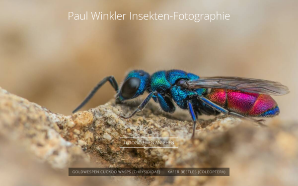 winkler-paul.de