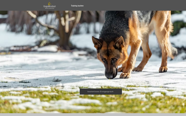 www.dogsmindset.at