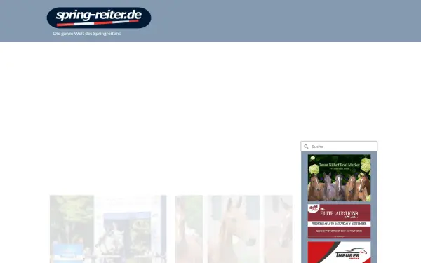 www.spring-reiter.de
