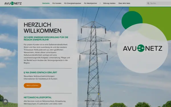 avu-netz.de