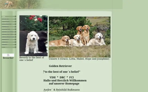 golden-retriever-haltern.de